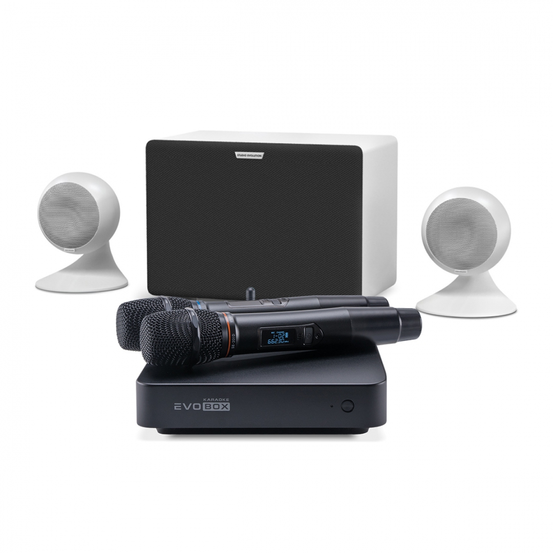 караоке-комплект EVOBOX Classic + EvoSound Sphere 2.1 в Салавате