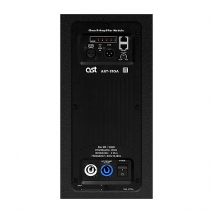 Активная акустическая система AST-310A в Салавате