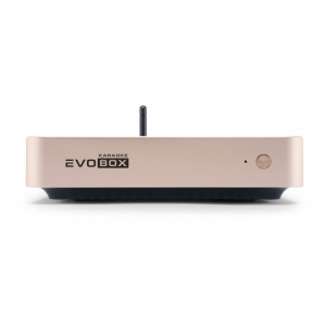 EVOBOX Plus караоке-система для дома в Салавате